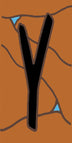 Y
