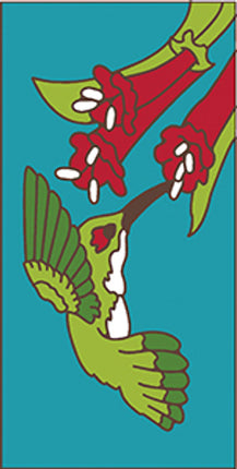 Illustration of a green hummingbird drinking from red flowers on a blue background
