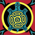 Turquoise Turtle / Red Background