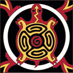 Red Turtle / Black Background