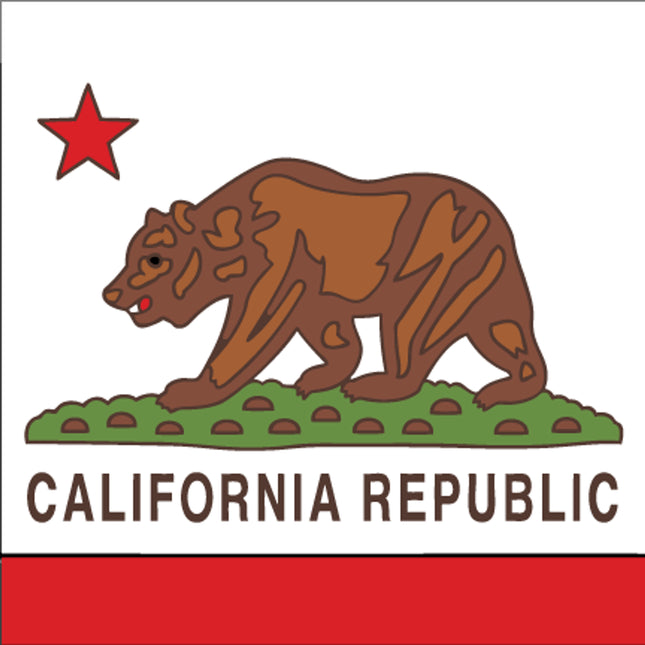California State Flag Ceramic Tile | Wall Decor or Kitchen Trivet | Hand Glazed Art 