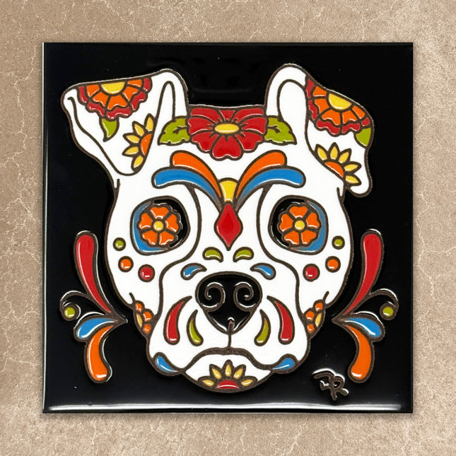 Colorful dog skull design on a black background