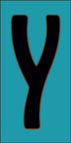 Y